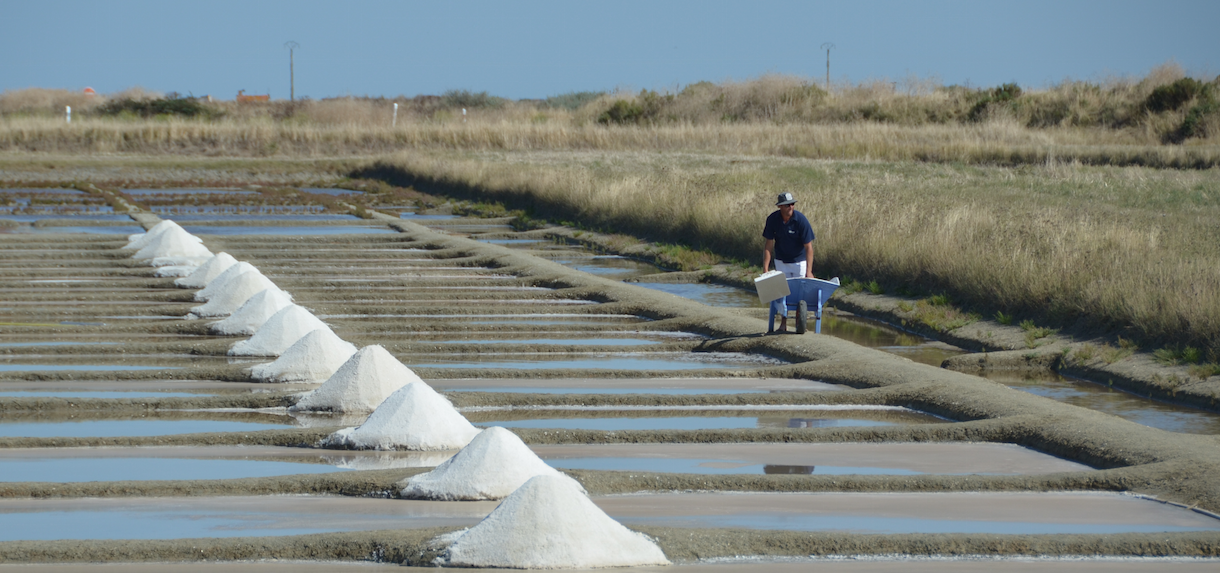 Les Marais salants - Vendée